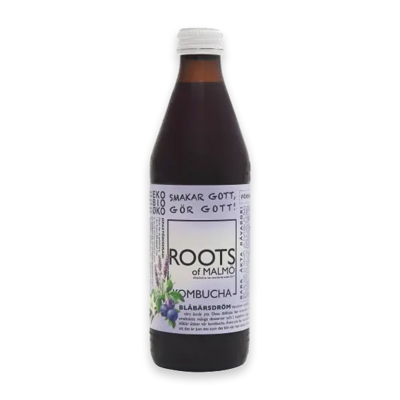 Blåbärsdröm Kombucha Eko