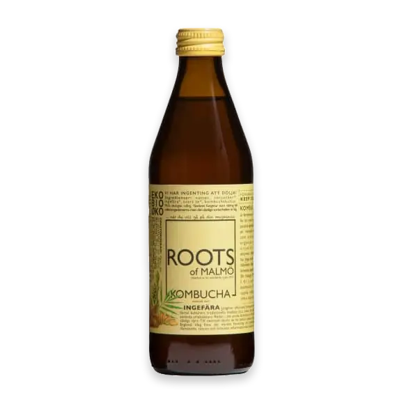 Ingefära Kombucha