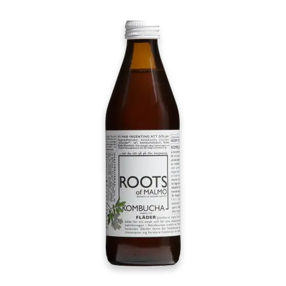 Kombucha Fläder