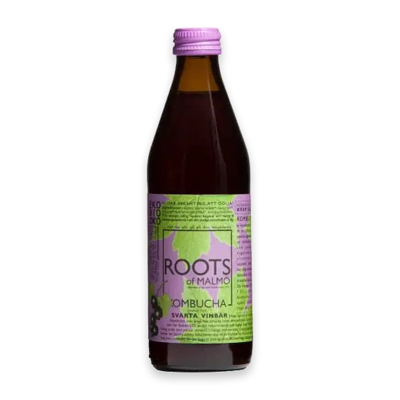 Svarta Vinbär Kombucha
