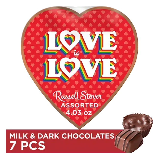Valentine's Day Encouragement Heart Assorted Milk & Dark Chocolate Candy Gift Box