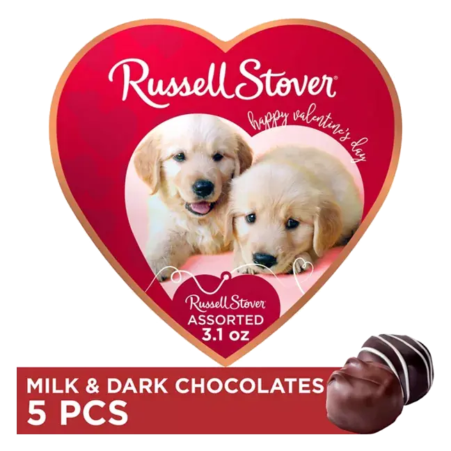 Valentine's Day Puppy Heart Assorted Milk & Dark Chocolate Candy Gift Box