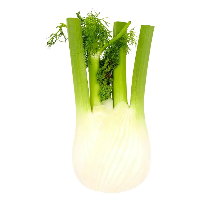 Fennel Loose