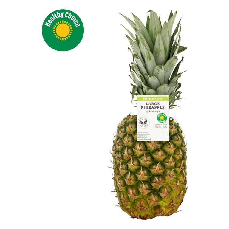 Large Pineapple