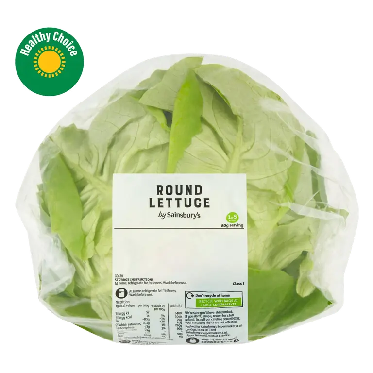 Lettuce, Round