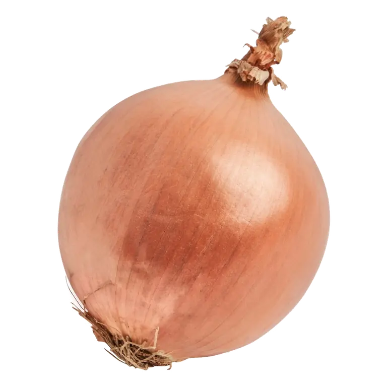 Onions Loose