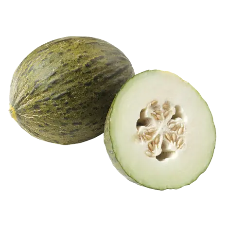 Santa Claus Melon 1 Count