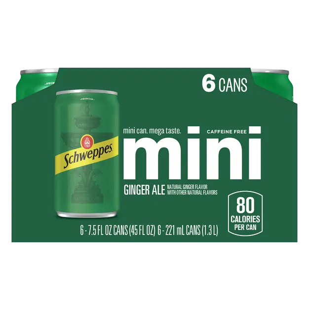 Caffeine Free Mini Ginger Ale Soda - 6 pk