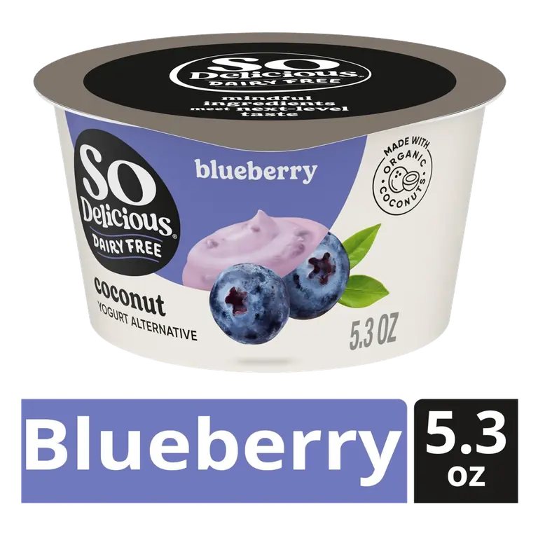 Blueberry Coconutmilk Yogurt Alternative