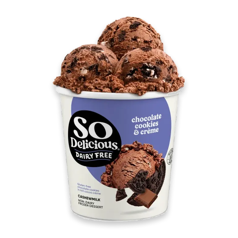 Dairy Free Vegan Chocolate Cookies N’ Cream Cashew Milk Frozen Dessert Pint