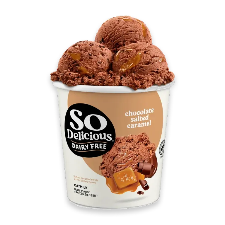 Dairy Free Vegan Chocolate Salted Caramel Oat Milk Frozen Dessert Pint
