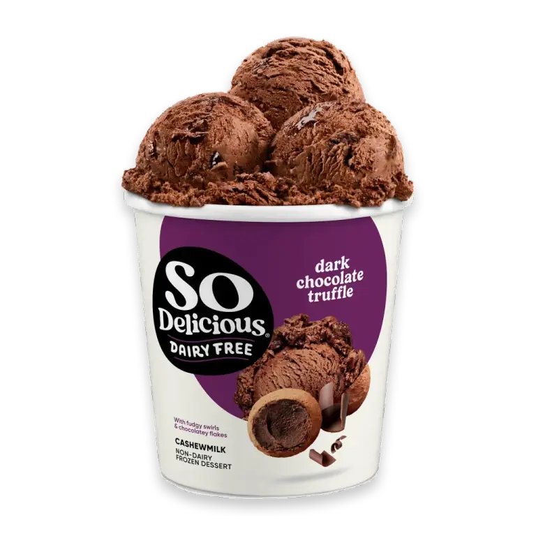 Dairy Free Vegan Dark Chocolate Truffle Cashew Milk Frozen Dessert Pint