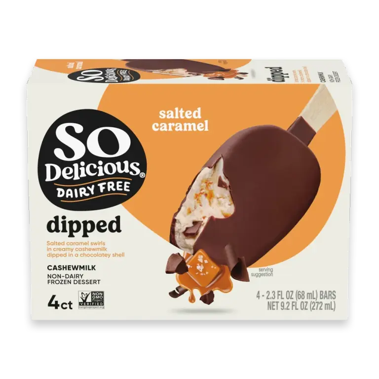 Dairy Free Vegan Dipped Salted Caramel Cashew Milk Frozen Dessert Bars