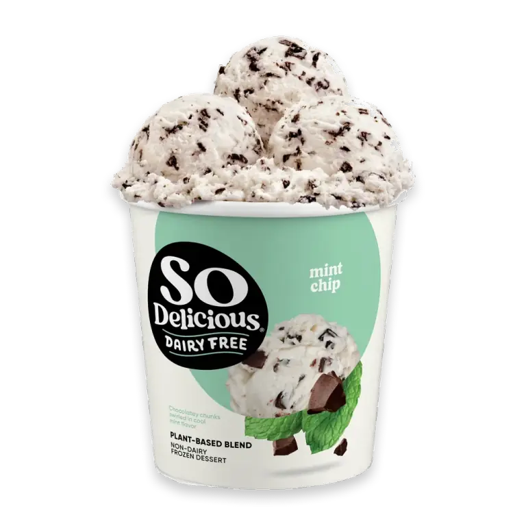 Dairy Free Vegan Mint Chip Frozen Dessert