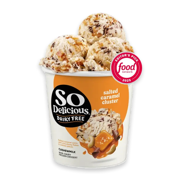 Dairy Free Vegan Salted Caramel Cluster Cashew Milk Frozen Dessert Pint