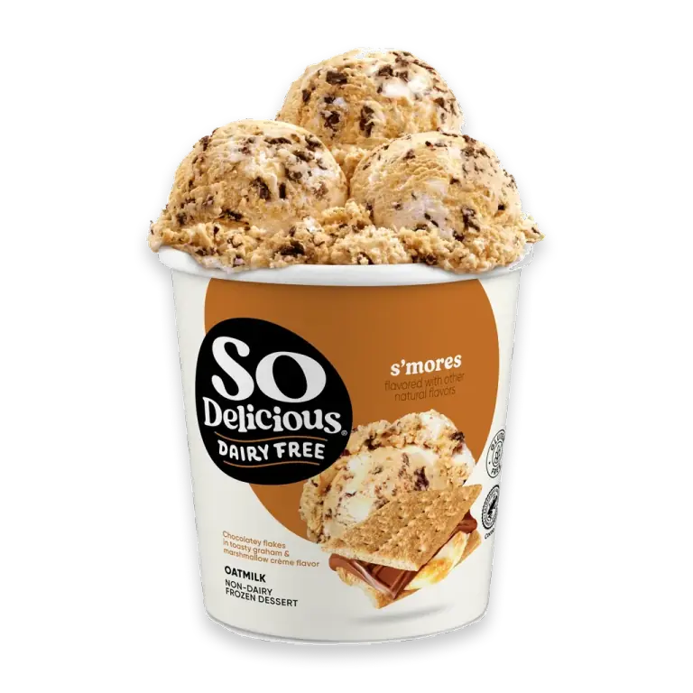 Dairy Free Vegan S’mores Oat Milk Frozen Dessert Pint