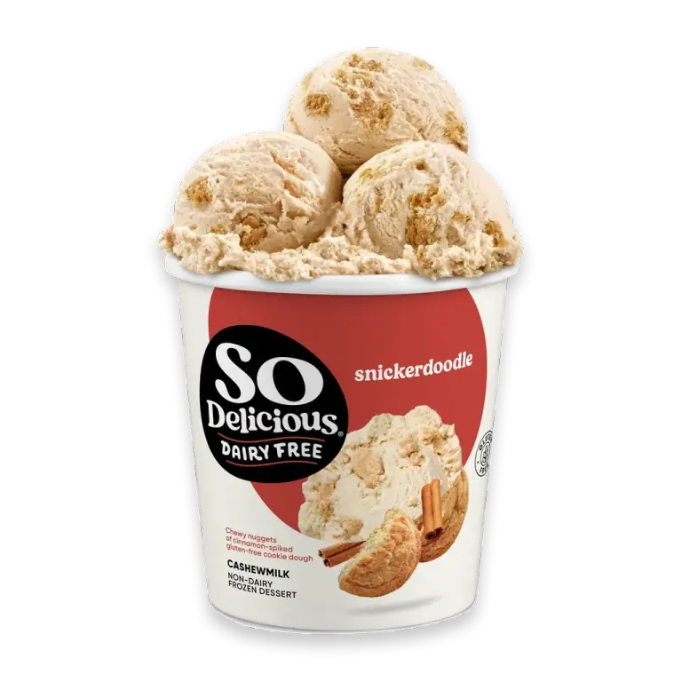 Dairy Free Vegan Snickerdoodle Cashew Milk Frozen Dessert Pint