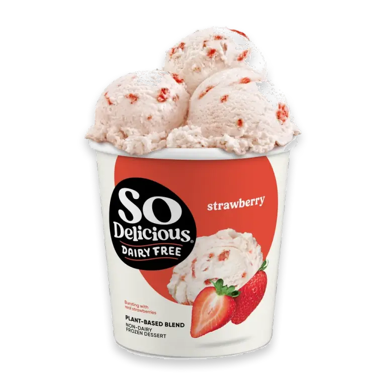 Dairy Free Vegan Strawberry Frozen Dessert Pint