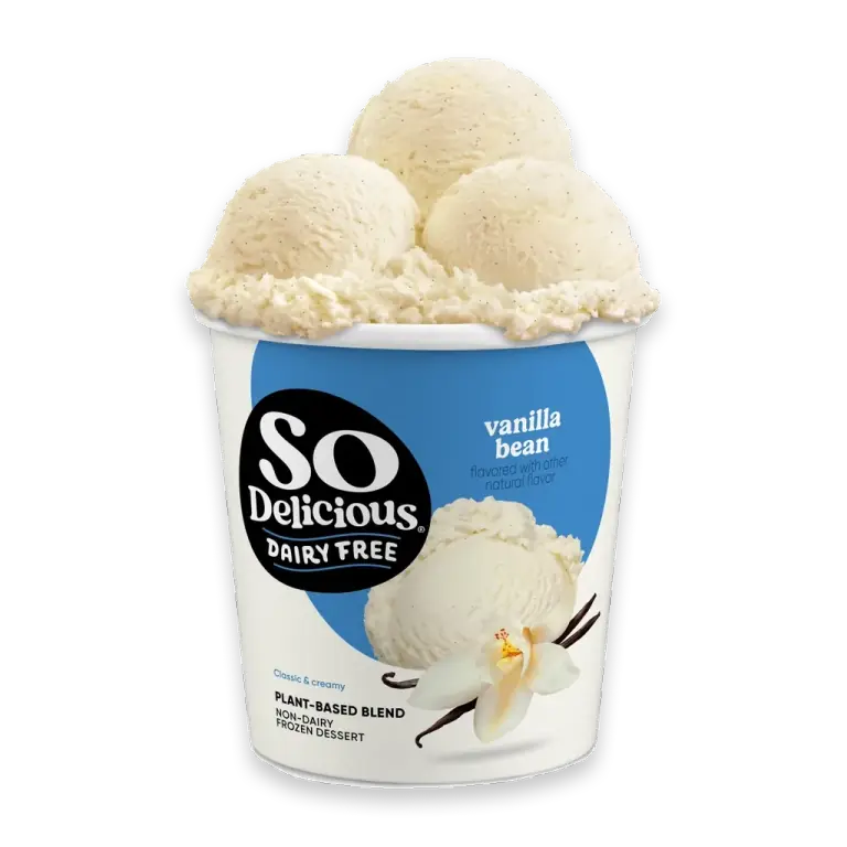 Dairy Free Vegan Vanilla Frozen Dessert Pint