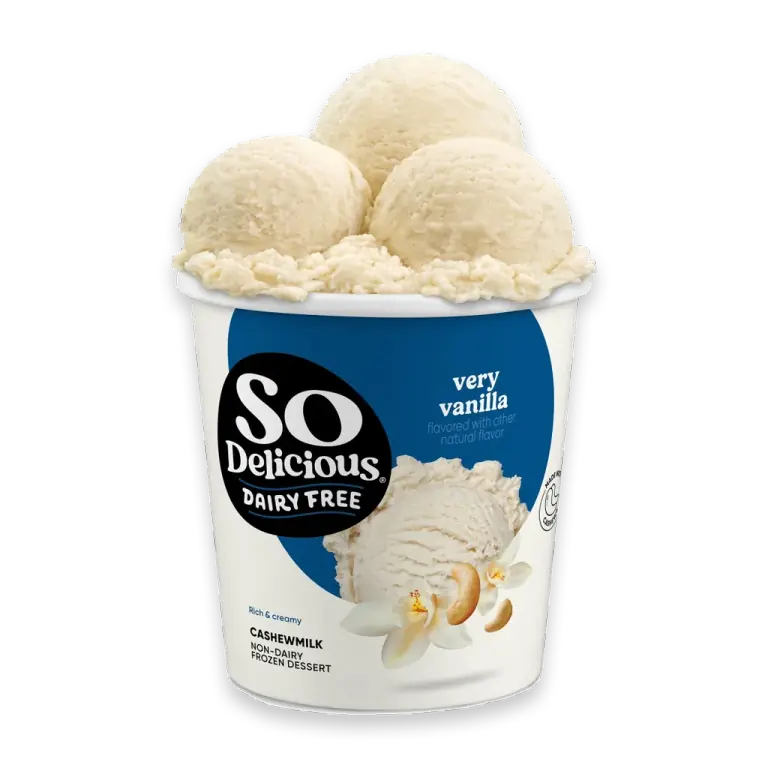 Dairy Free Vegan Very Vanilla Cashew Milk Frozen Dessert Pint