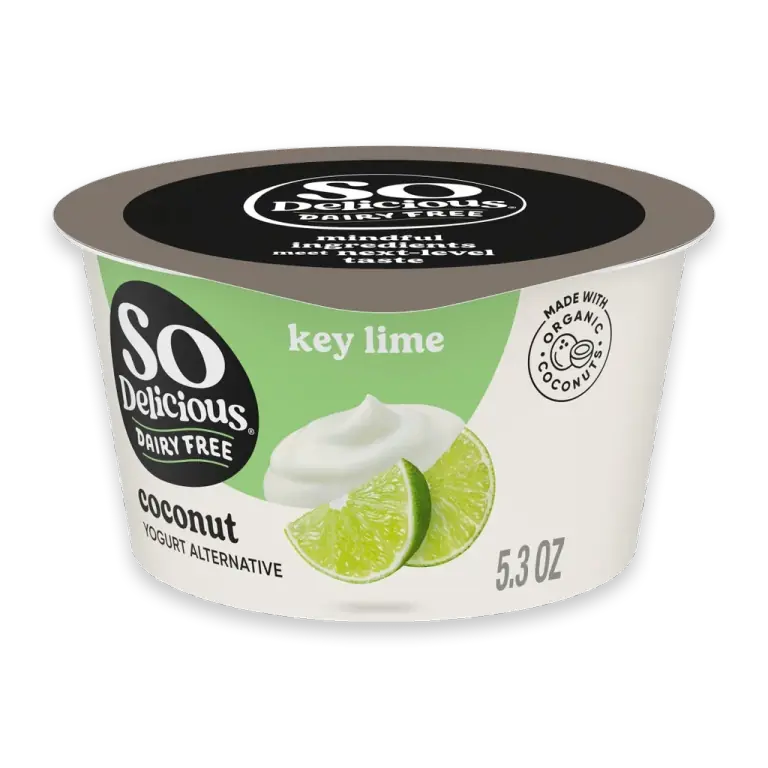 Key Lime Dairy Free Vegan Coconut Milk Yogurt Cup