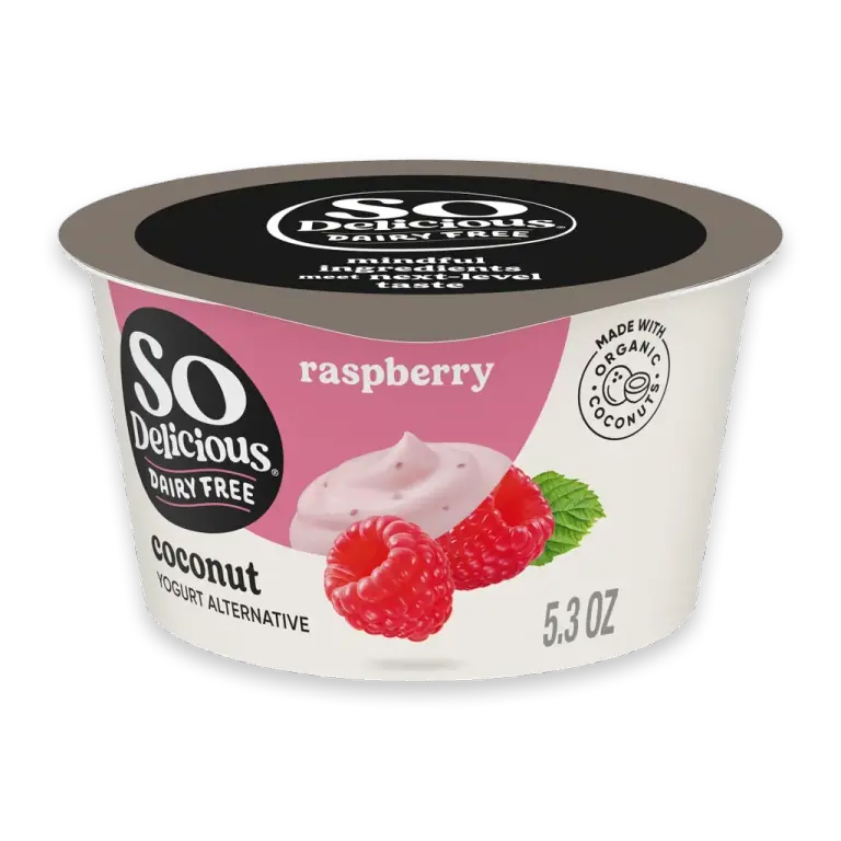 Raspberry Dairy Free Vegan Coconut Milk Yogurt Cup