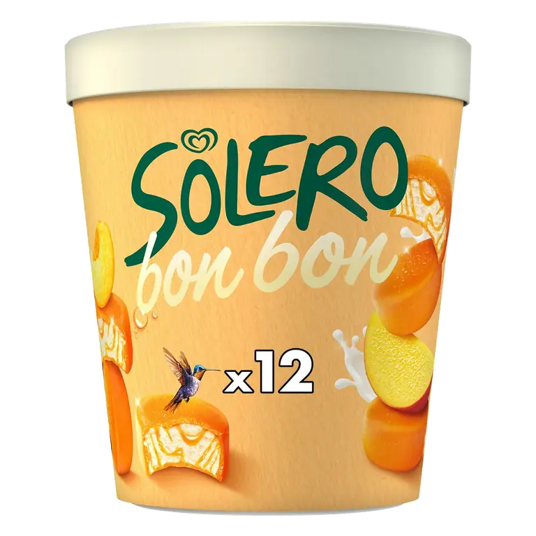 12 x 16ml Bonbon Exotic Ice Cream Frozen Snack