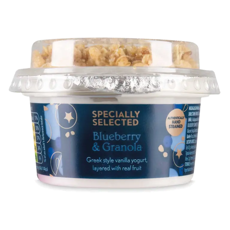 Blueberry Yogurt Granola