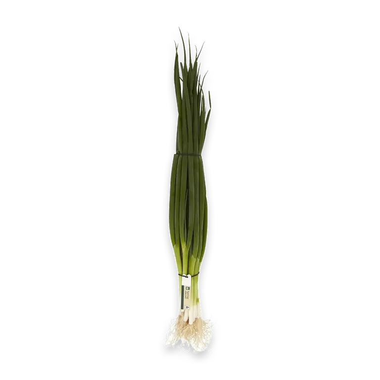Spring Onion Bunch