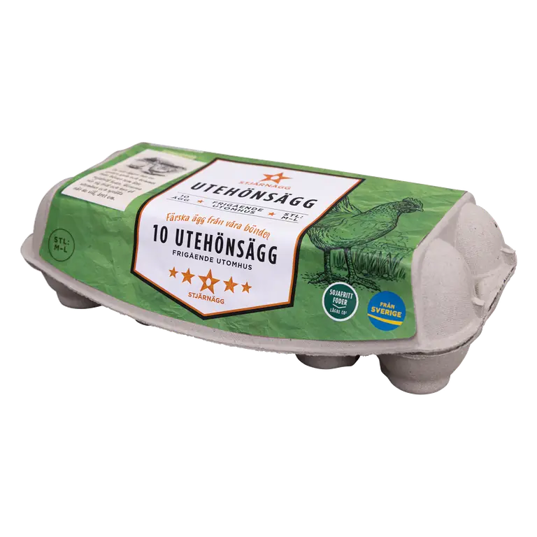 Ägg 10P Frigående Utomhus