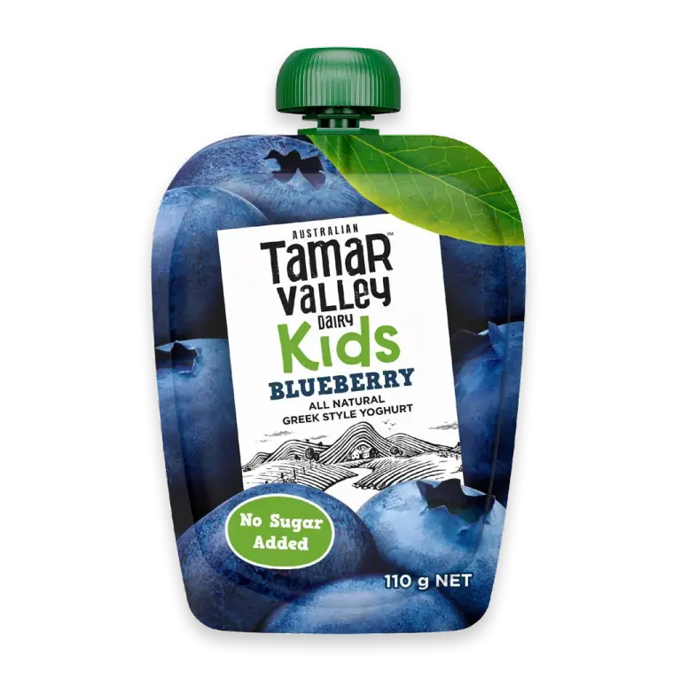 Dairy Kids Greek Yoghurt Pouch Blueberry