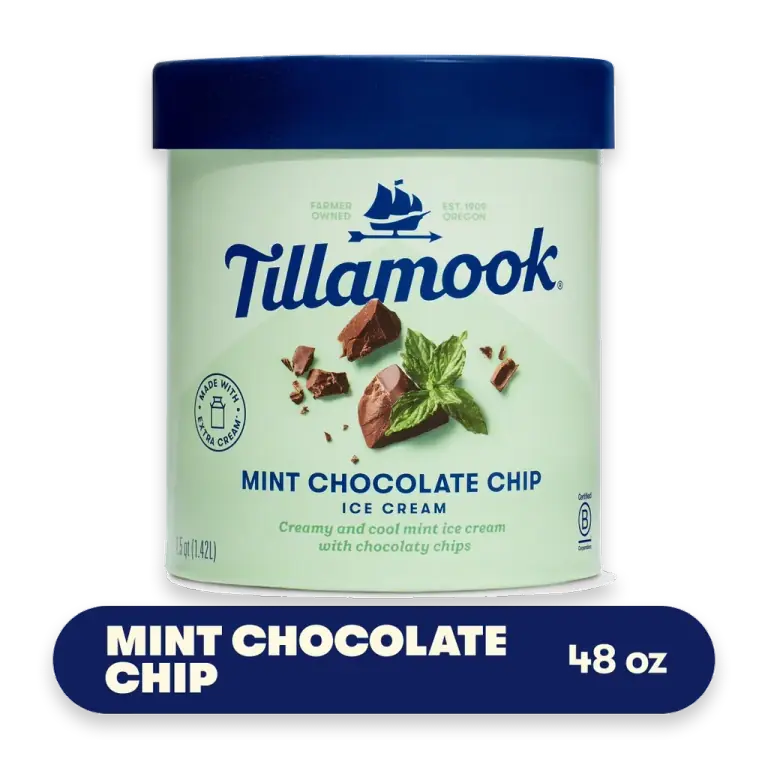 Mint Chocolate Chip Ice Cream Tub