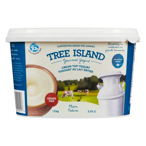 Cream Top Plain Yogurt 1.5 KG