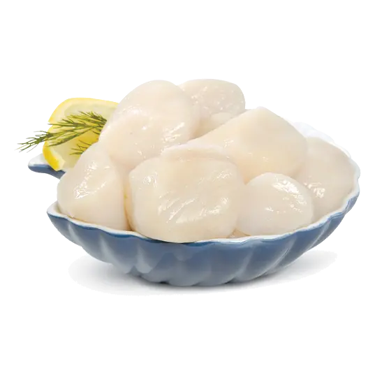 Frozen Medallions Scallops