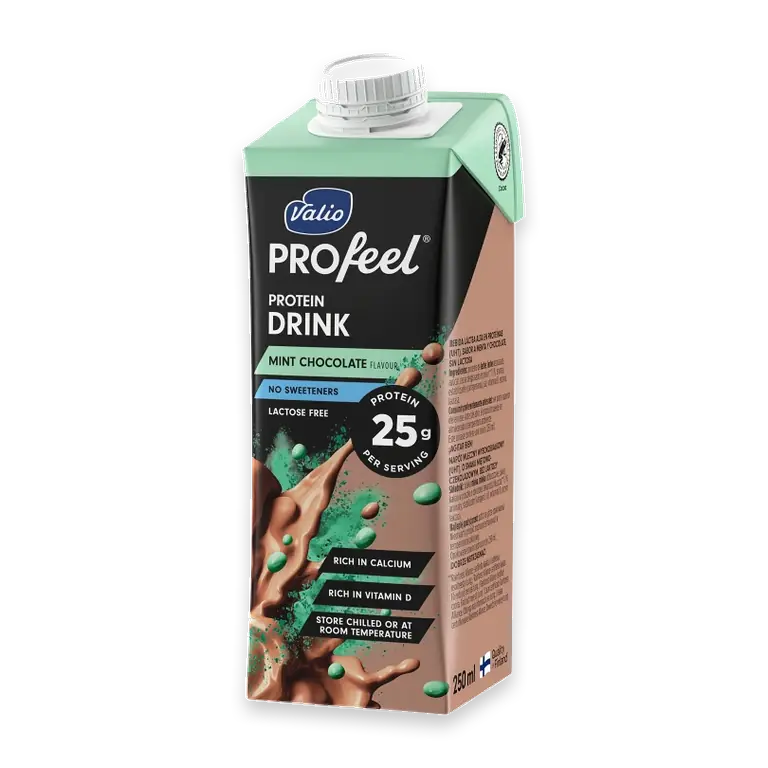 Mint Chocolate 250ml