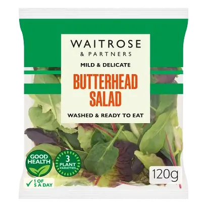 Butterhead Salad