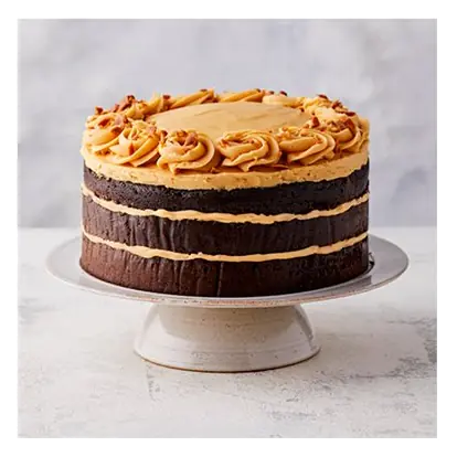 Chocolate Salted Caramel Triple Layer Cake