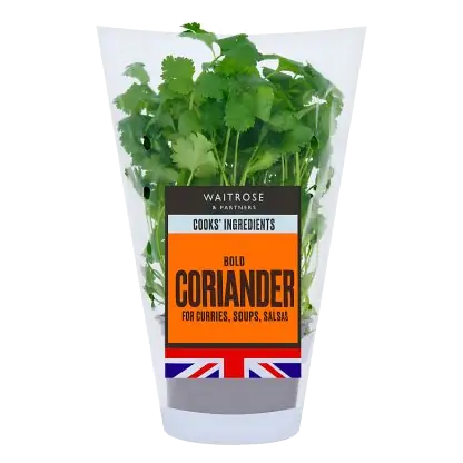 Cooks' Ingredients Coriander Pot