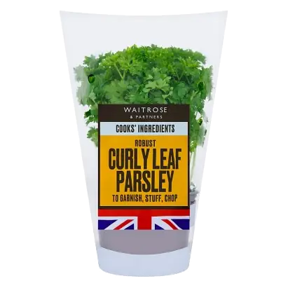Cooks' Ingredients Curly Parsley Medium Pot