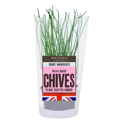 Cooks' Ingredients Garden Chives Pot