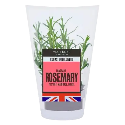 Cooks' Ingredients Rosemary Medium Pot