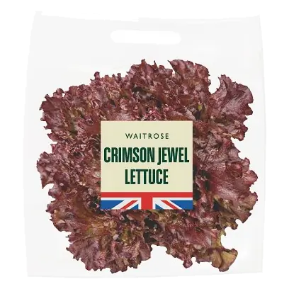 Crimson Jewel Lettuce