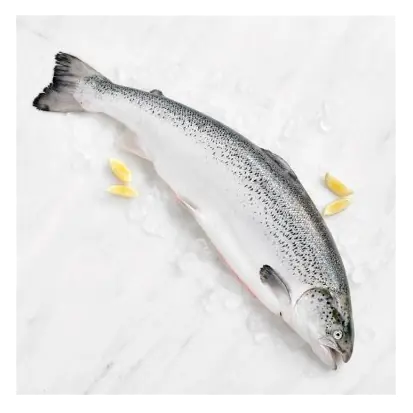 Duchy Organic Fresh Whole Salmon