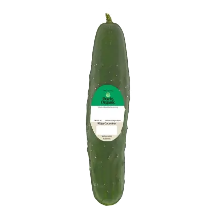 Duchy Organic Ridge Cucumber