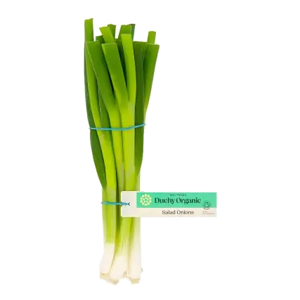 Duchy Organic Salad Onions Bunch