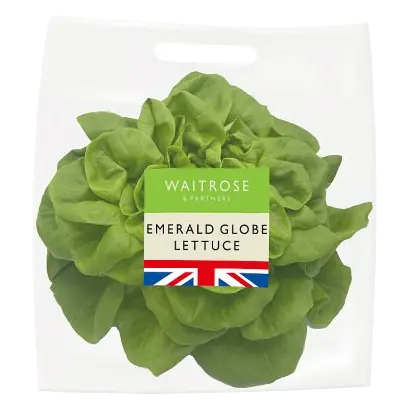 Emerald Globe Lettuce