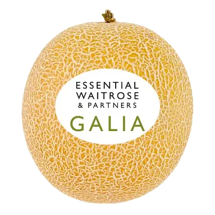 Essential Galia Melon
