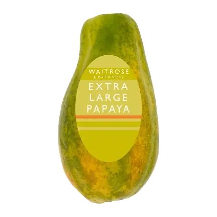 Extra Large Papaya