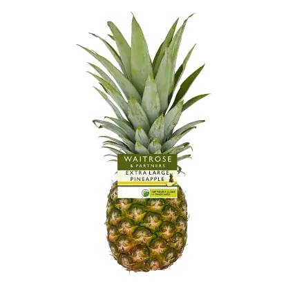 Extra Large Pineapple