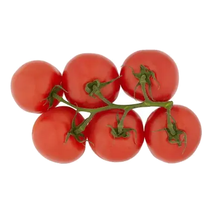 Large Vine Tomatoes